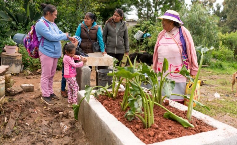 Donación mejora calidad de vida y sostenibilidad  en comunidades del Estado de México y Veracruz