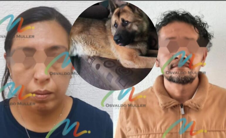 Caen dos personas por asesinato de “Kuko” perrito guía, en Edomex
