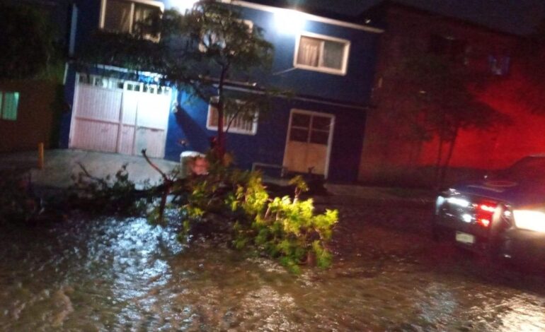 Lluvia en Querétaro causa estragos: Árboles derribados y vehículos atrapados