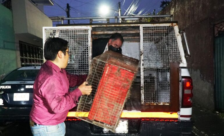 Rescatan a 31 perritos en Ecatepec; vivían en condiciones de hacinamiento