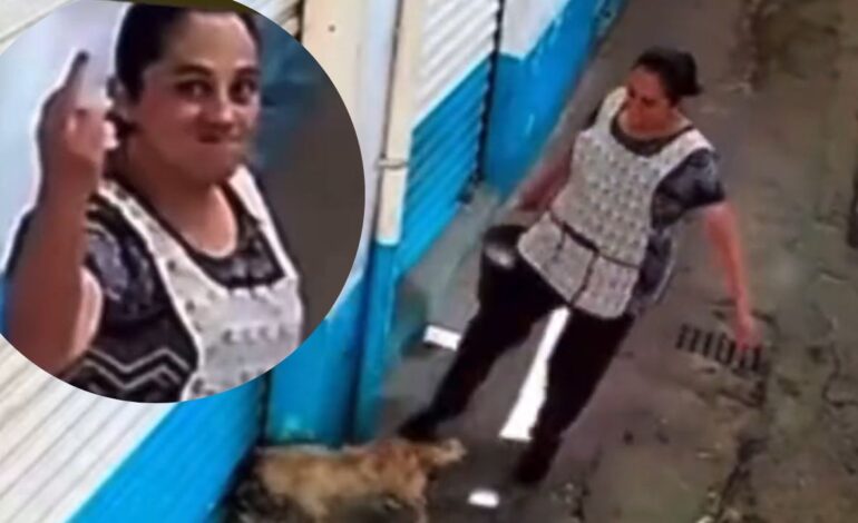 Mujer golpea a perrita en mercado de Ecatepec; es buscada por autoridades