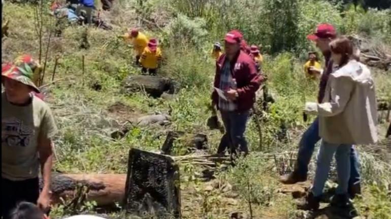 Plantan cien mil árboles en el Ajusco para reforestas zona afectada por tala